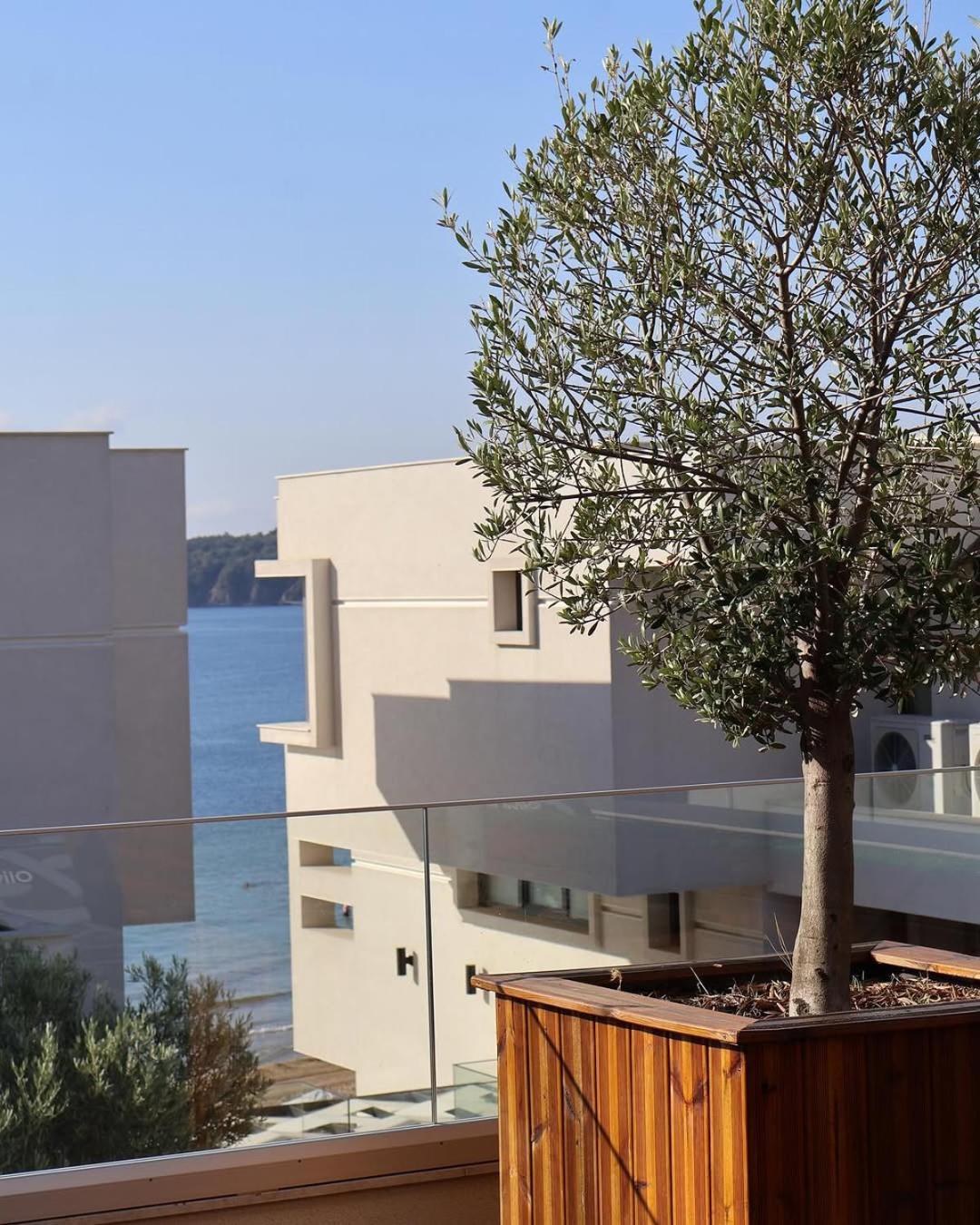 Olive Villas Beach Hotel Sozopol Ngoại thất bức ảnh